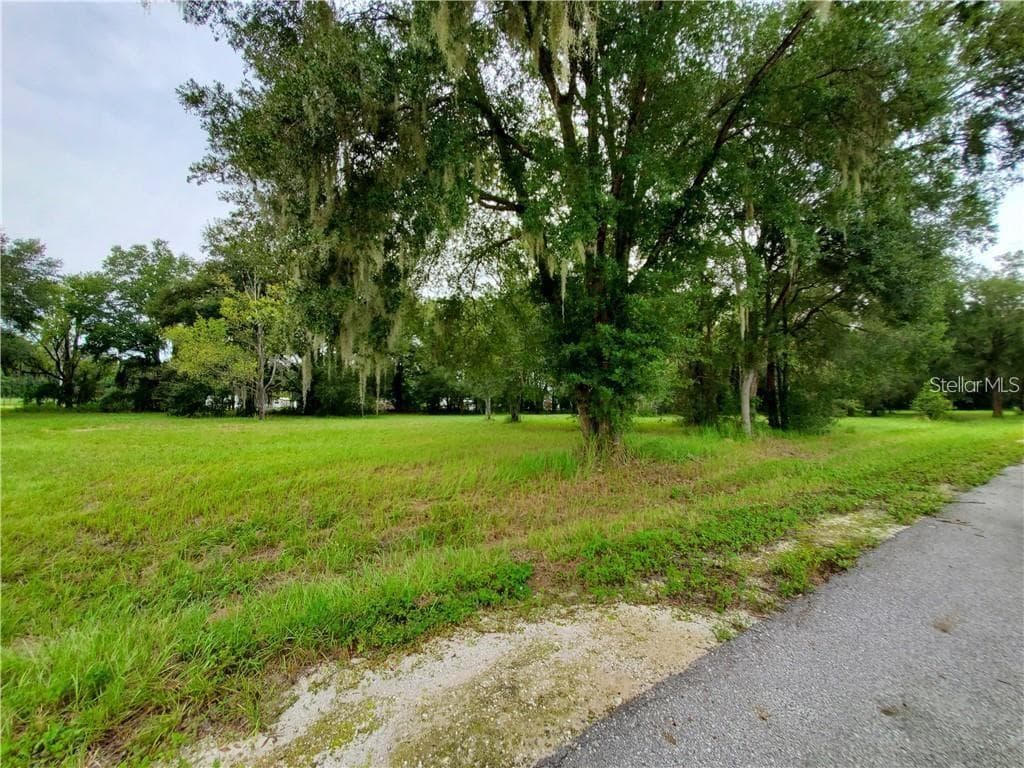 Frazee CT photo 4