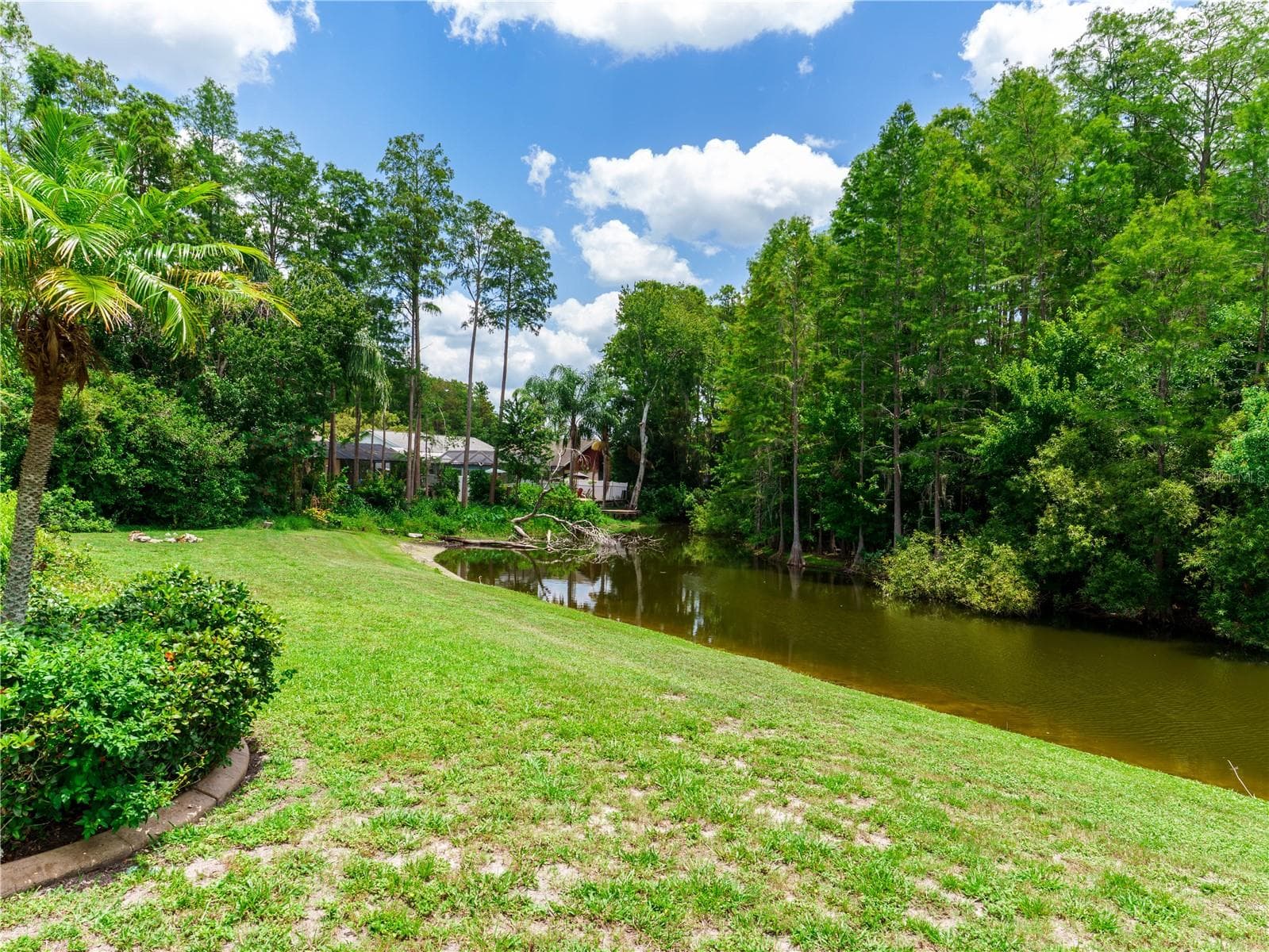 8153 Baytree Dr photo 4