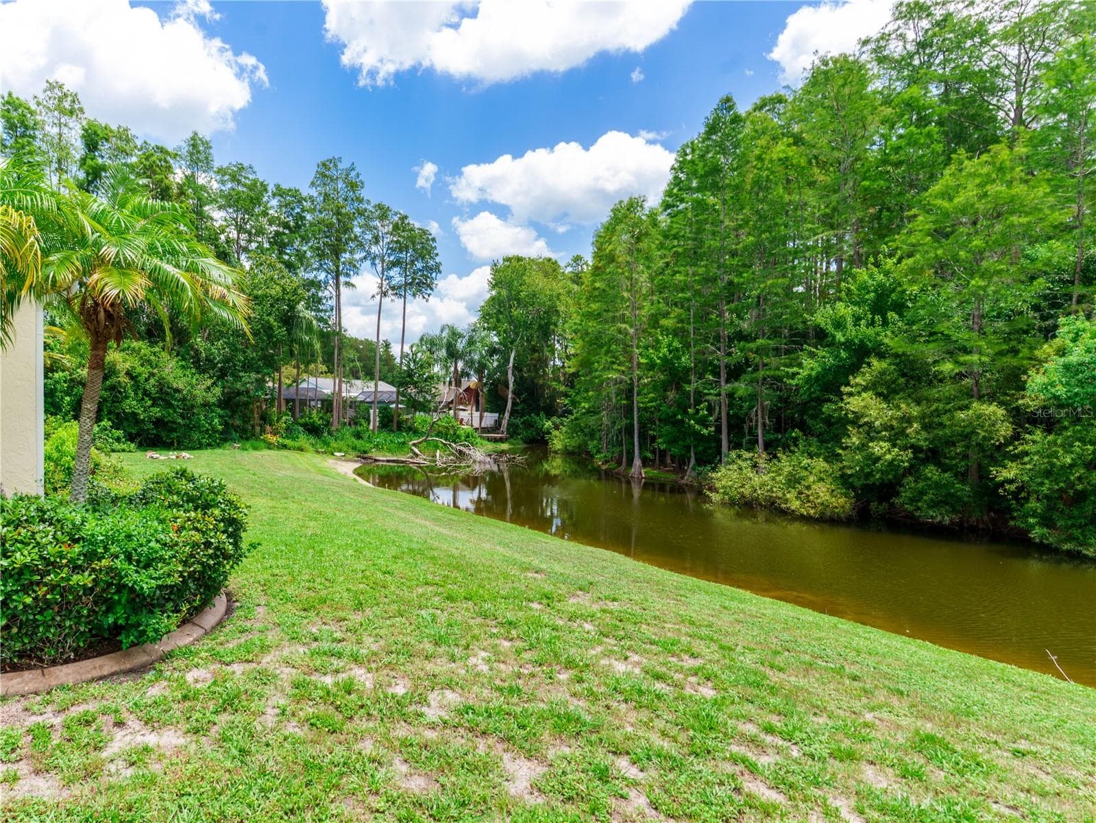 8153 Baytree Dr photo 5