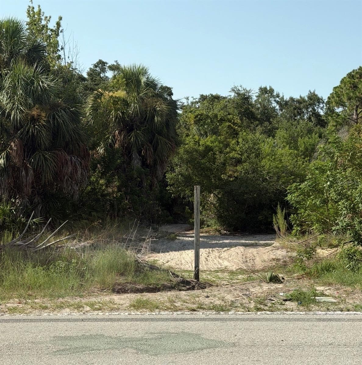 Bolton Ave photo 3