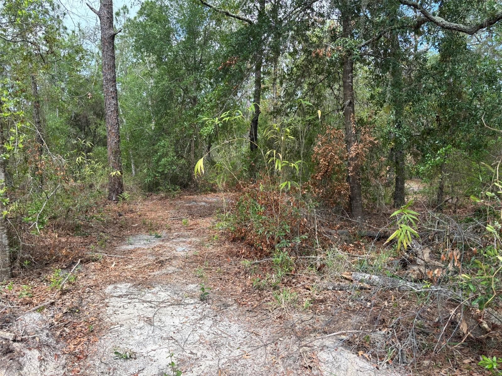 18379 Thomas Blvd photo 3