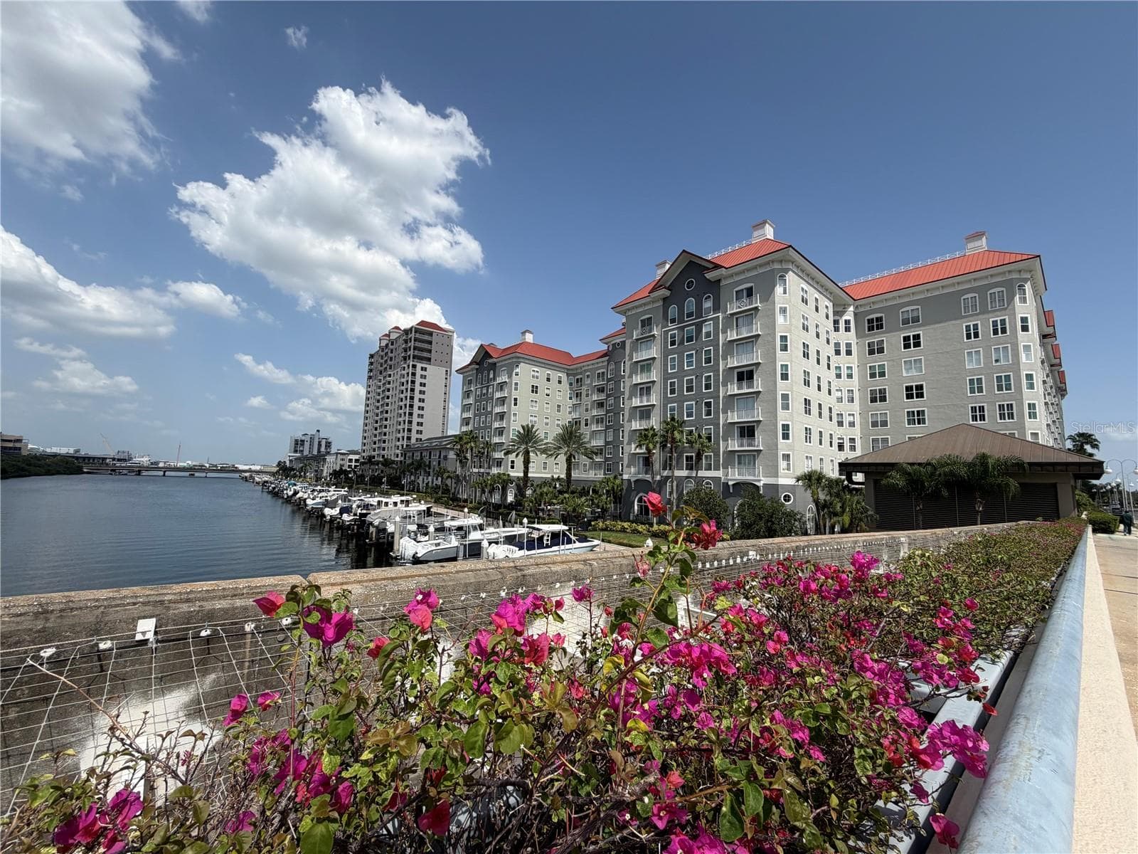 700 S Harbour Island Blvd #512 photo 4