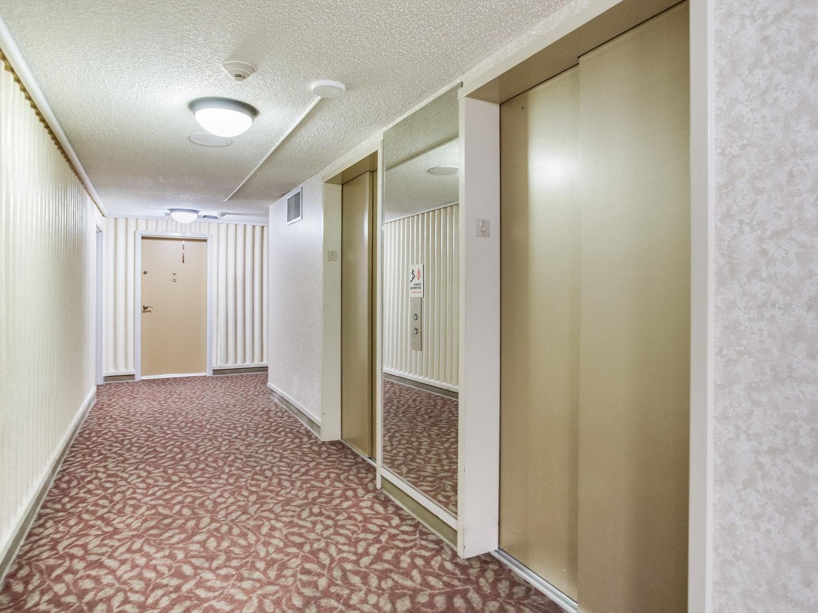 4141 Bayshore Blvd #505 photo 3