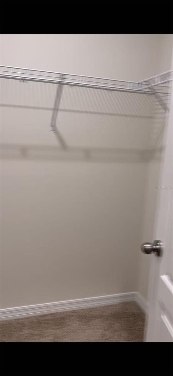 304 Sofia Ln photo 5