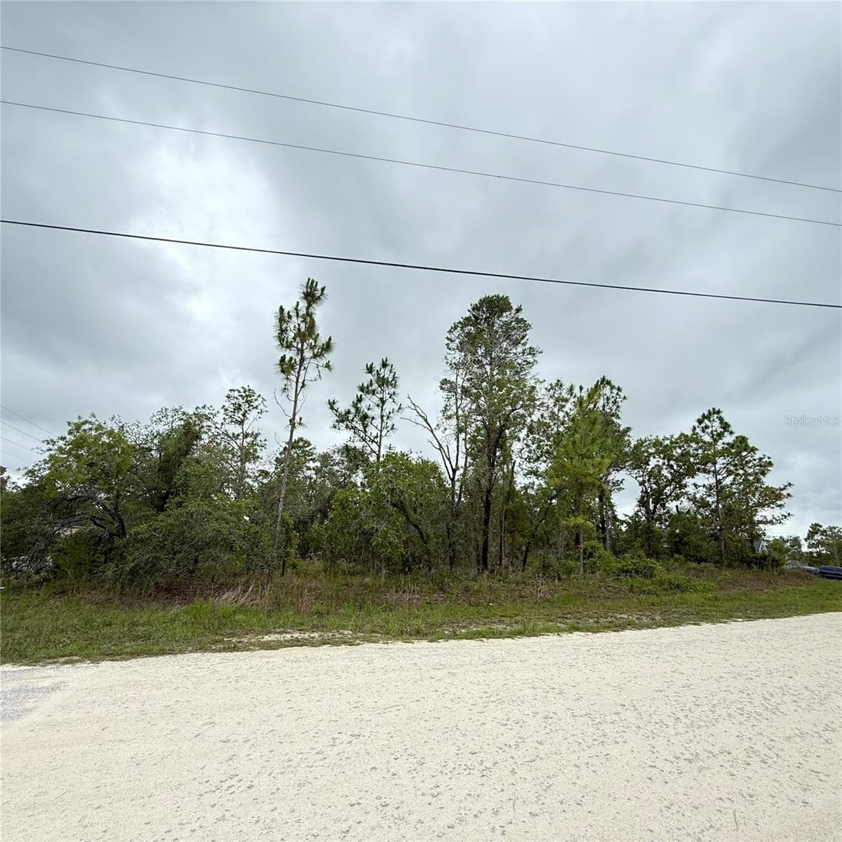11200 Marvelwood Rd photo 3