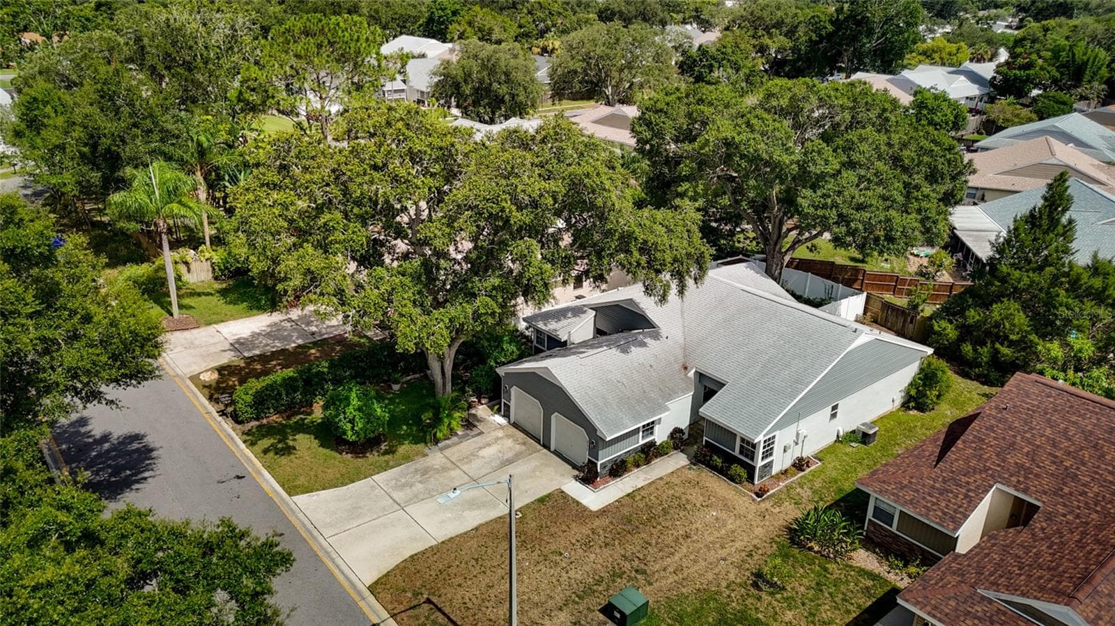 3174 Phlox Dr photo 3