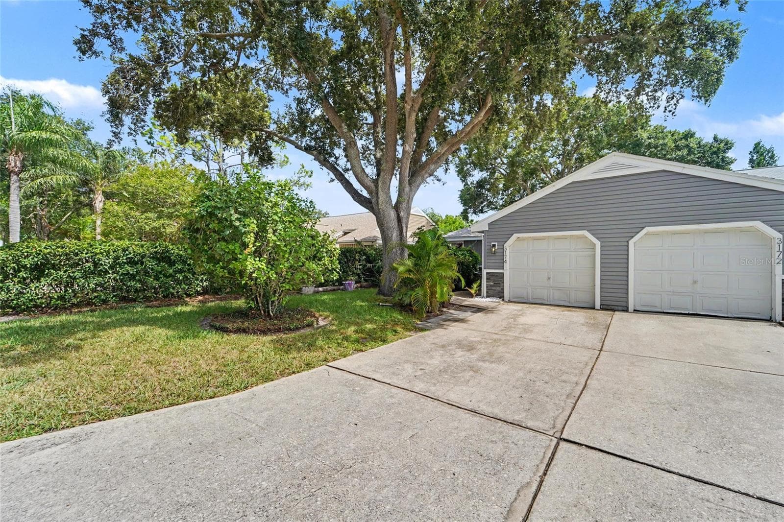3174 Phlox Dr photo 4