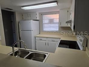 2031 Pine Chace CT photo 4