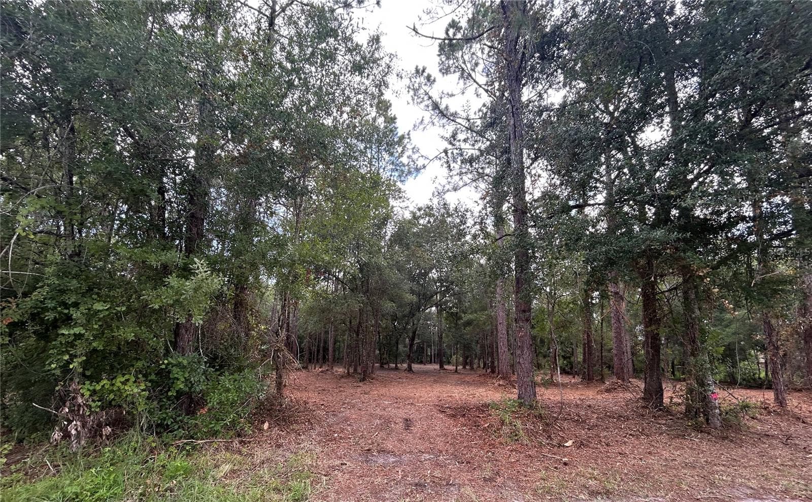 Westpoint Dr