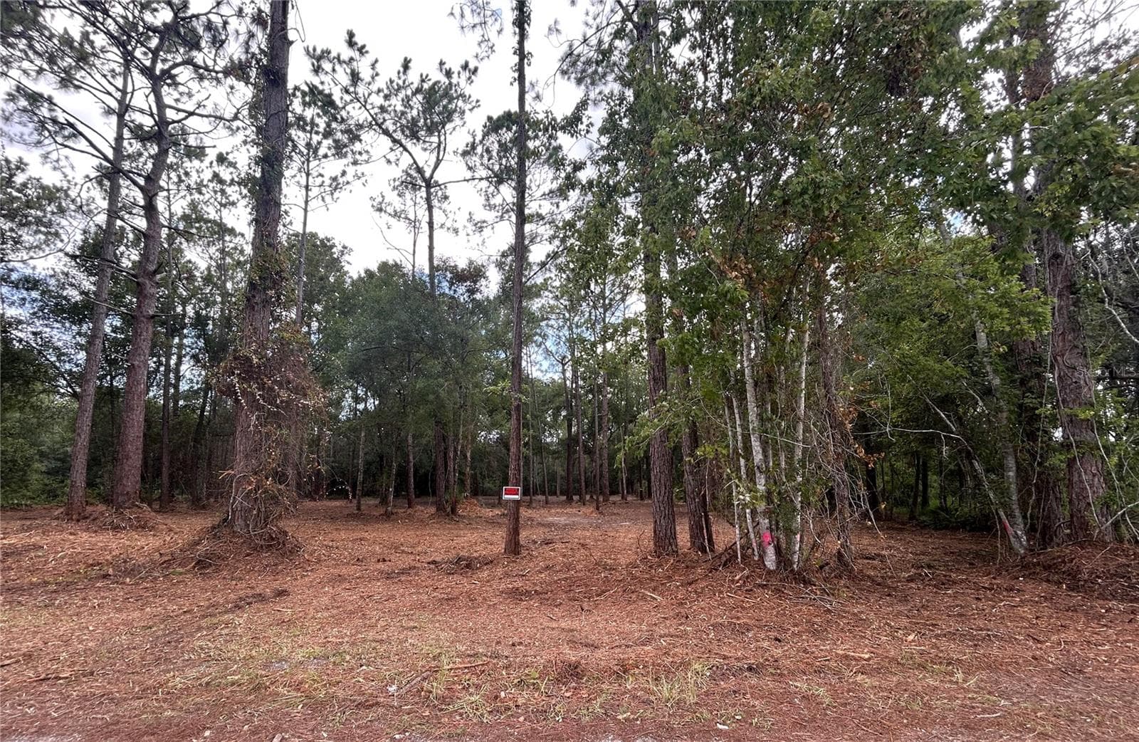 Westpoint Dr photo 3
