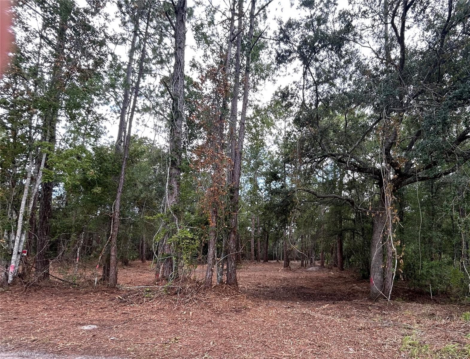 Westpoint Dr photo 4