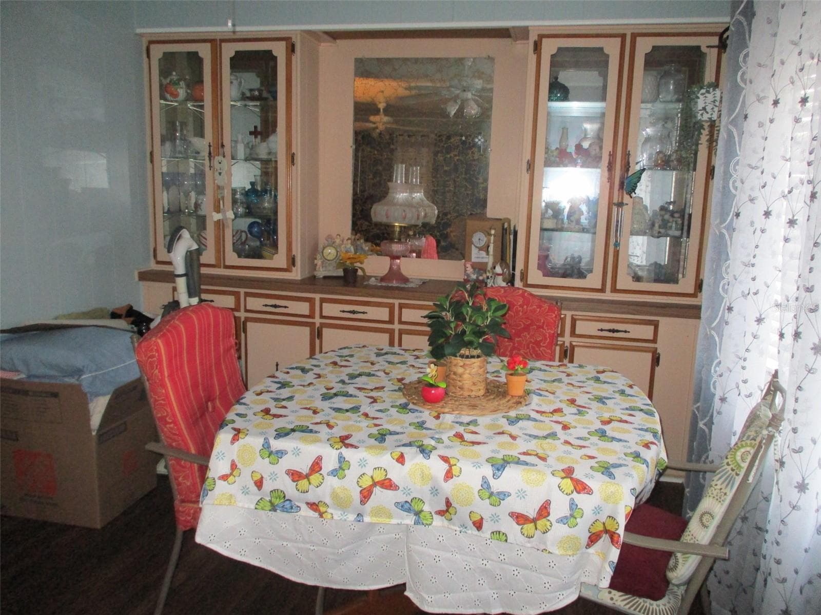 38536 Cone Dr photo 5