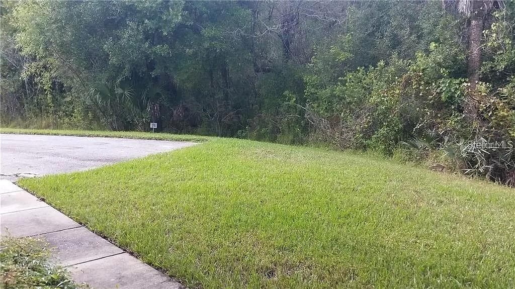 16317 Newbury Palms CT photo 5