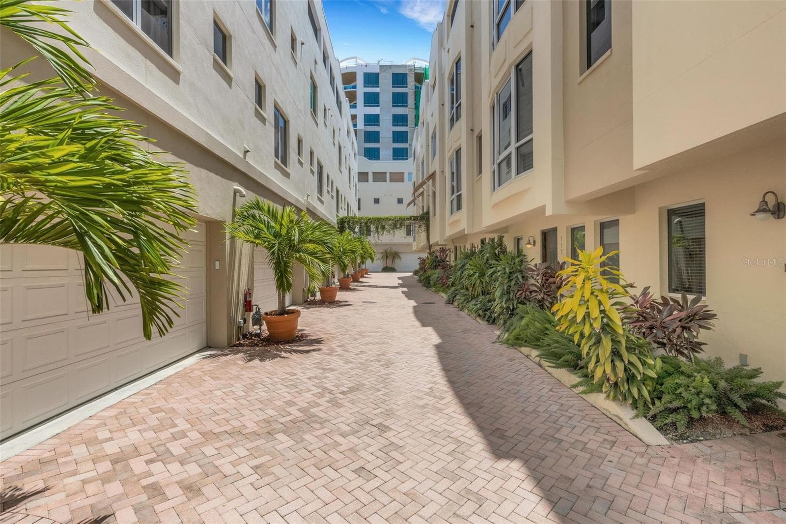 235 Cocoanut Ave #108B photo 3