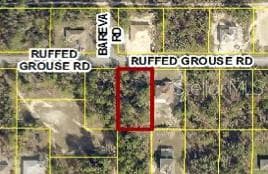 13364 Ruffed Grouse Rd