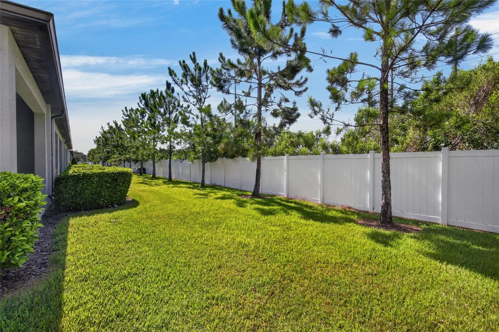 7617 Ginger Lily CT photo 3
