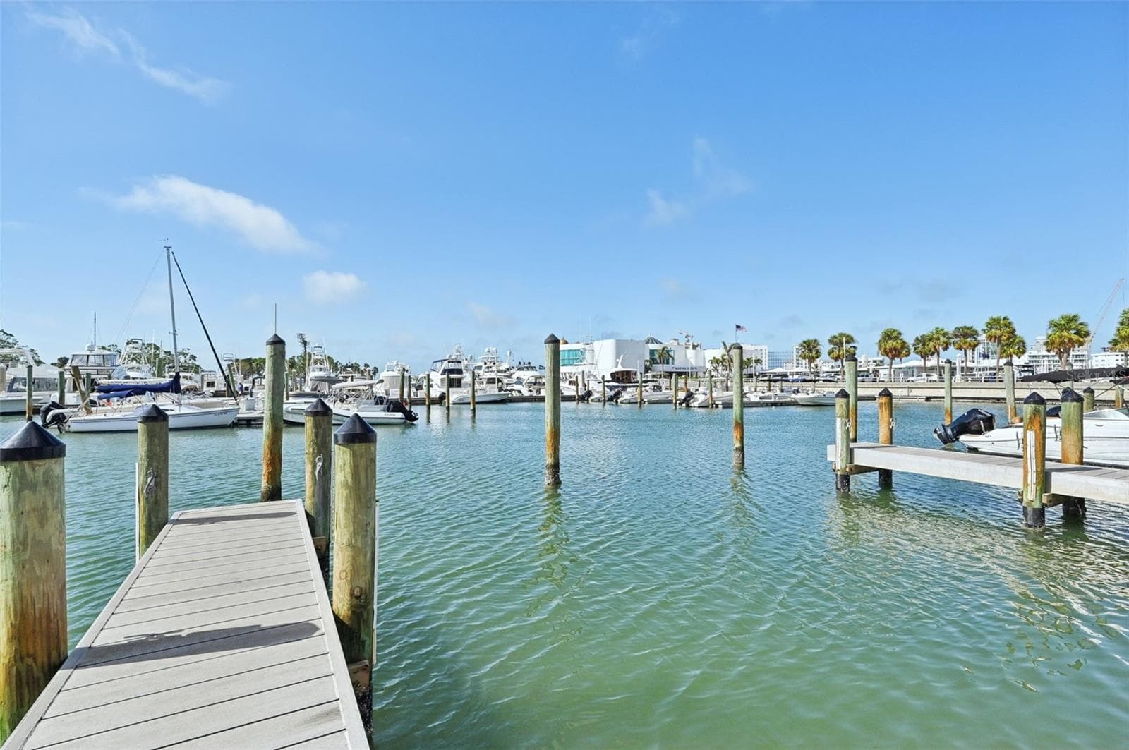 1771 Ringling Blvd #1001 photo 3