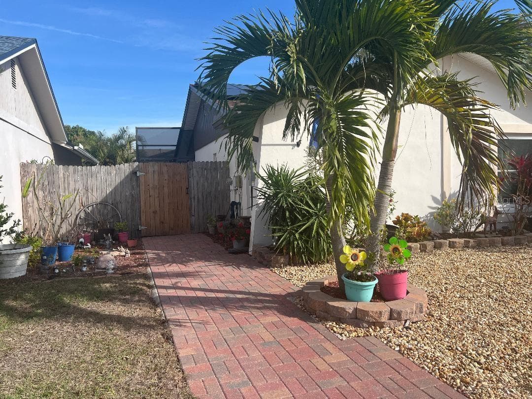 2009 San Sebastian Way S photo 3