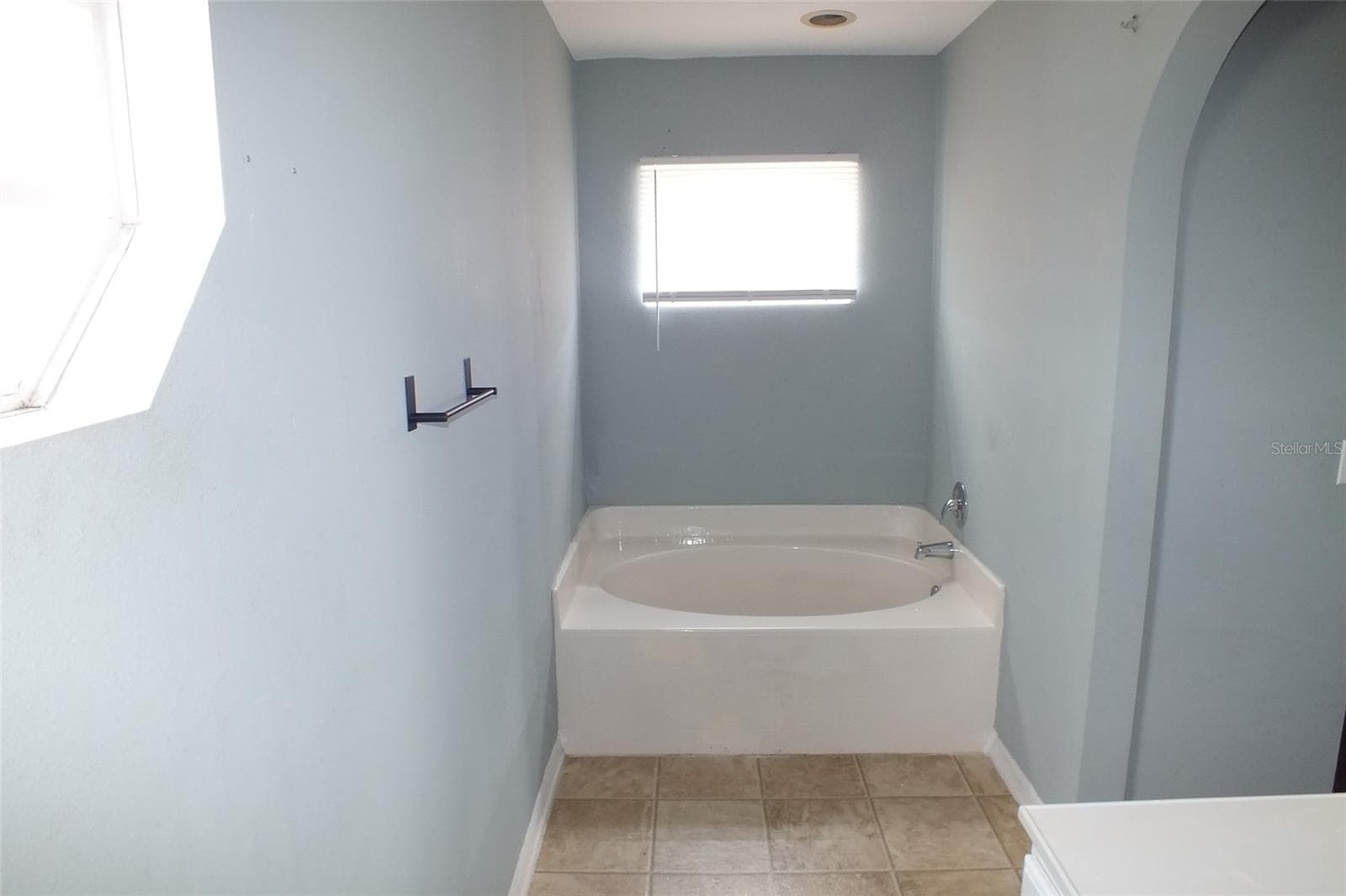 437 Fish Hawk Dr photo 3