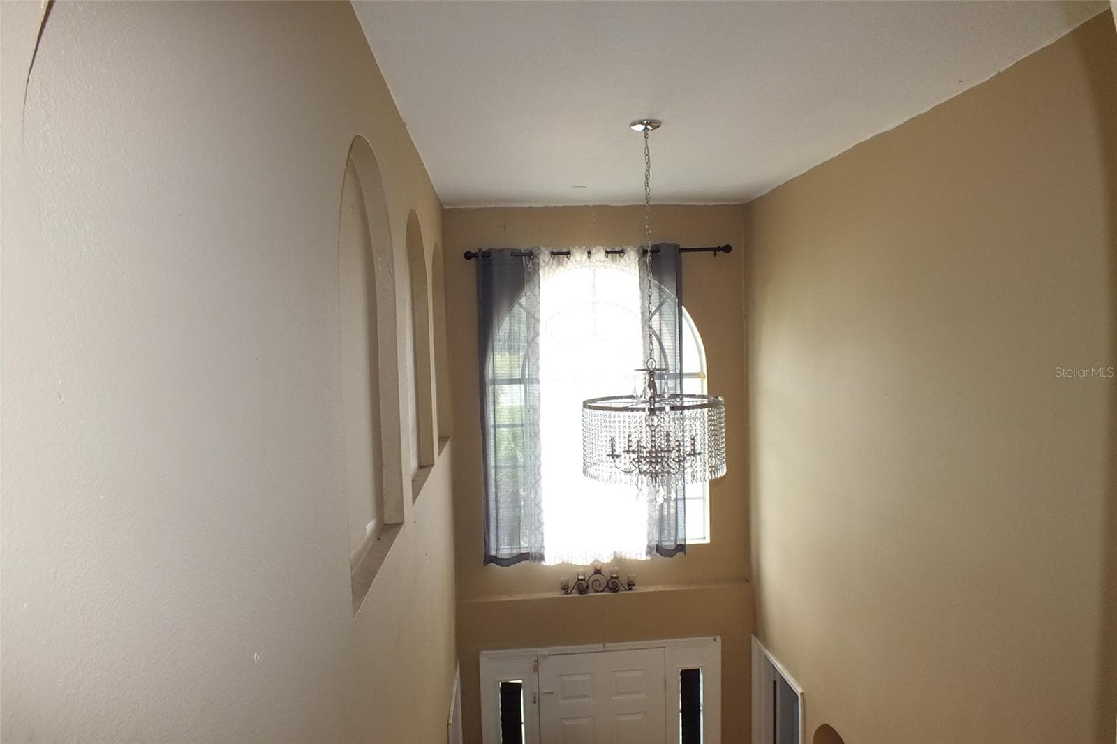 437 Fish Hawk Dr photo 5