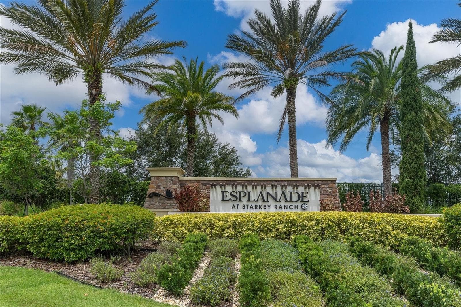 3142 Francoa Dr photo 3