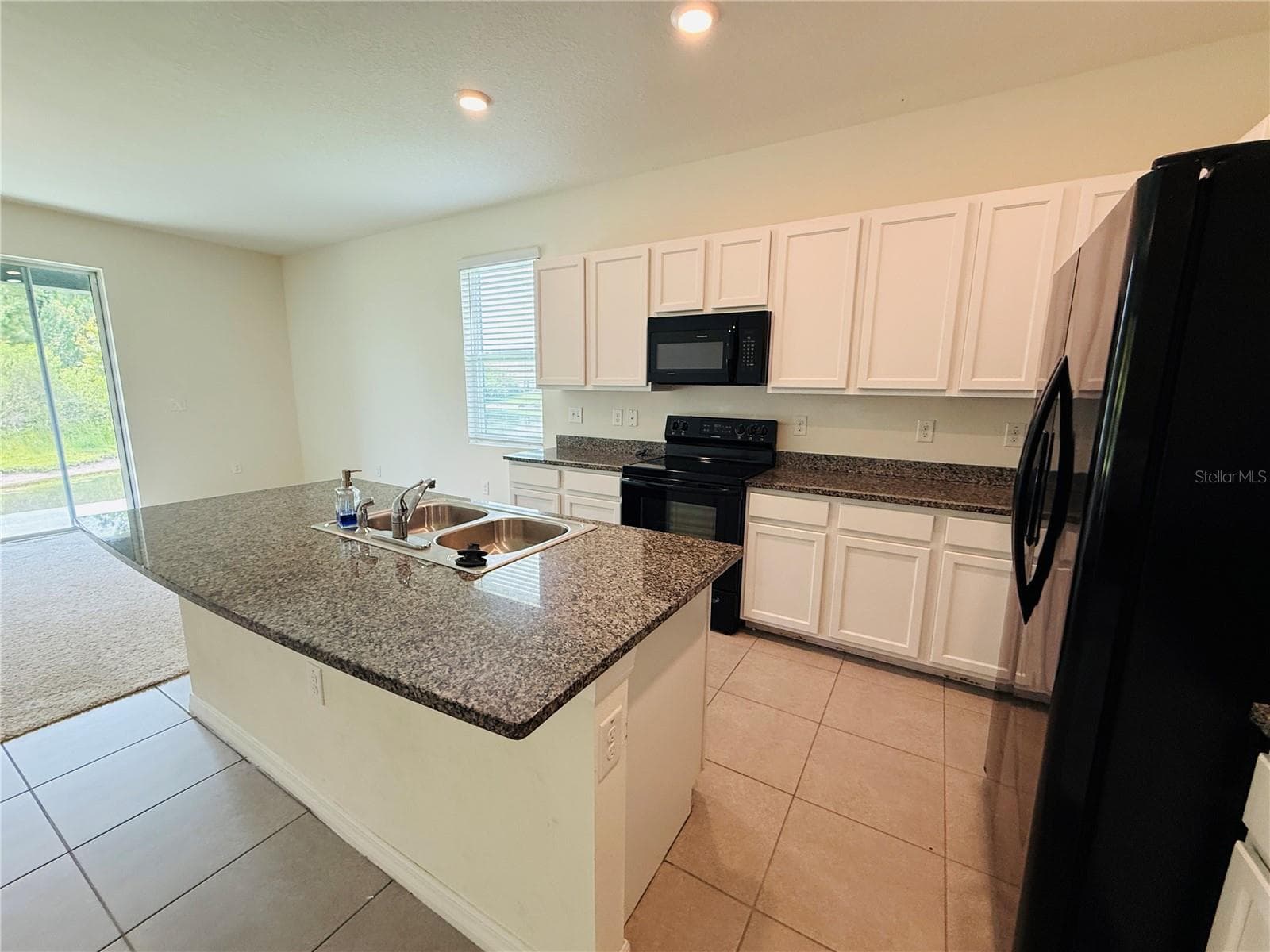 2868 Suncoast Blend Dr photo 4