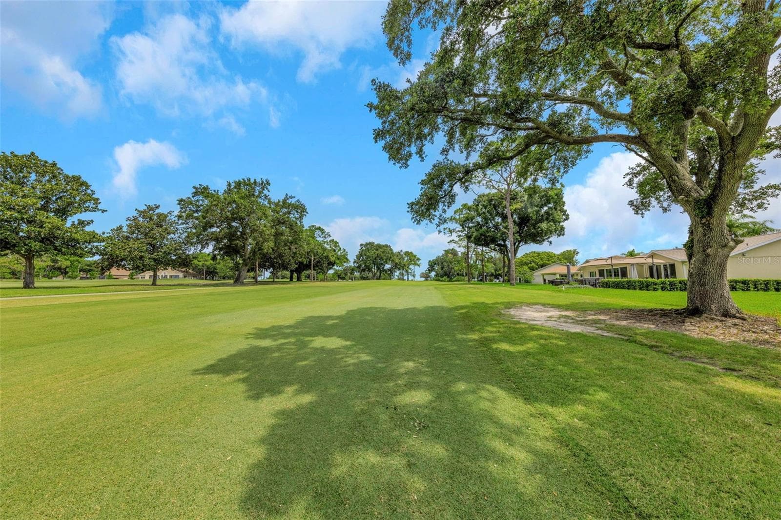 1308 Gillespie Dr photo 4