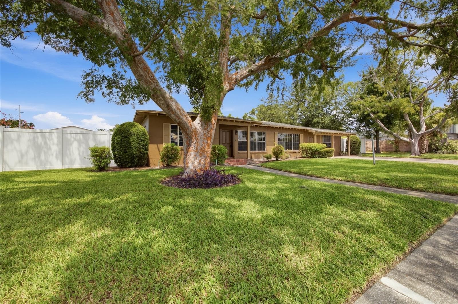 808 N MacDill Ave photo 3