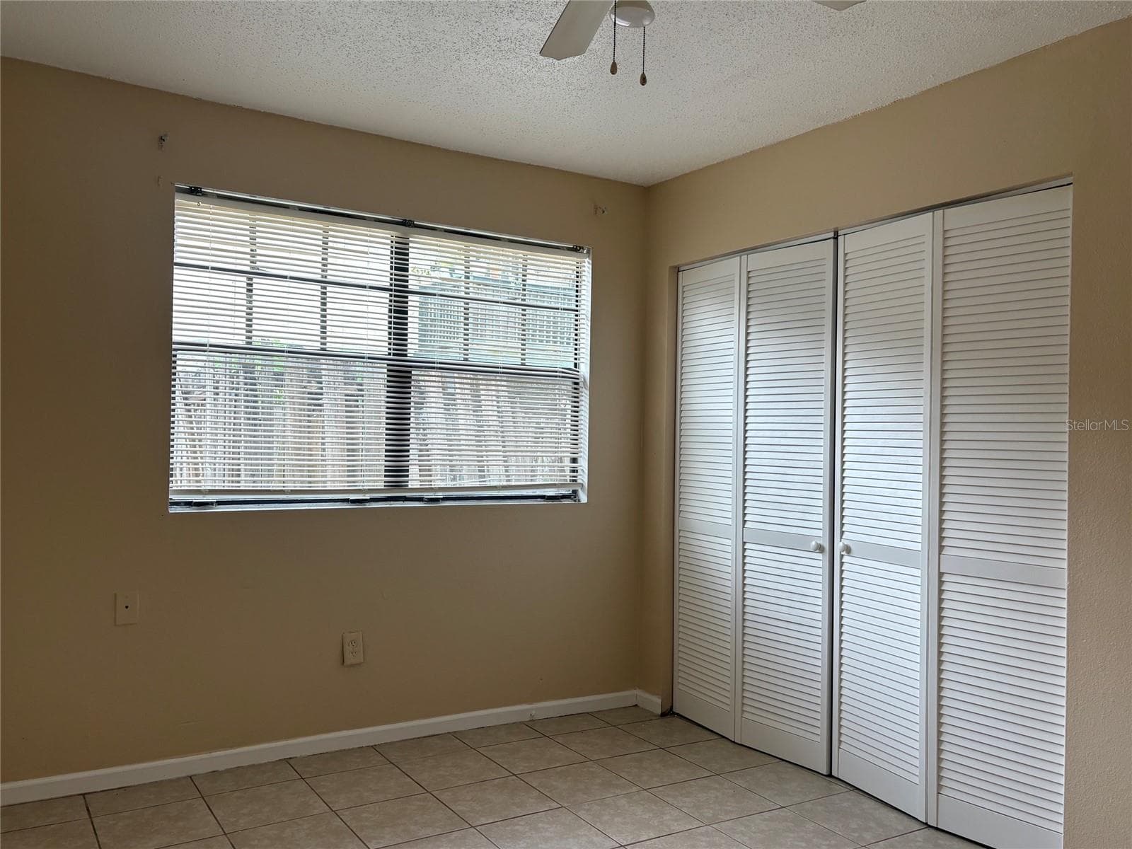 203 Poinsettia Pine CT #102