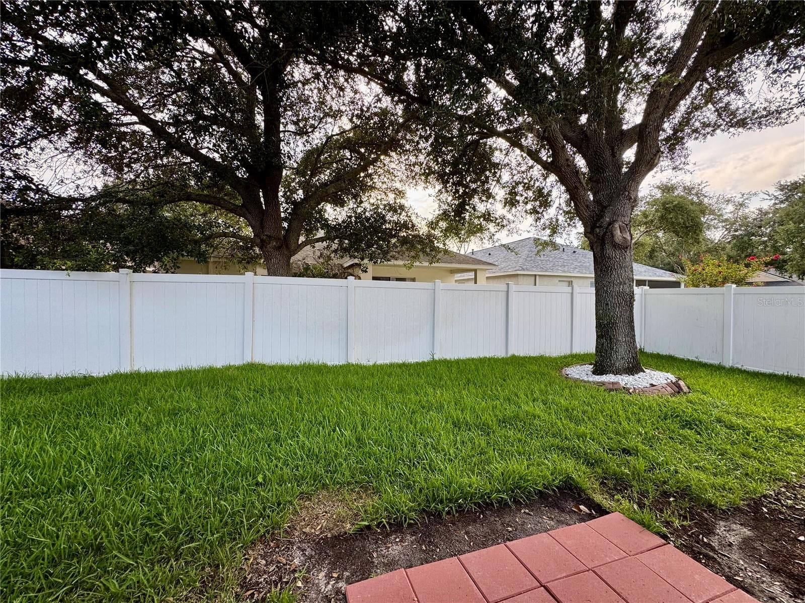 13052 Terrace Springs Dr photo 4