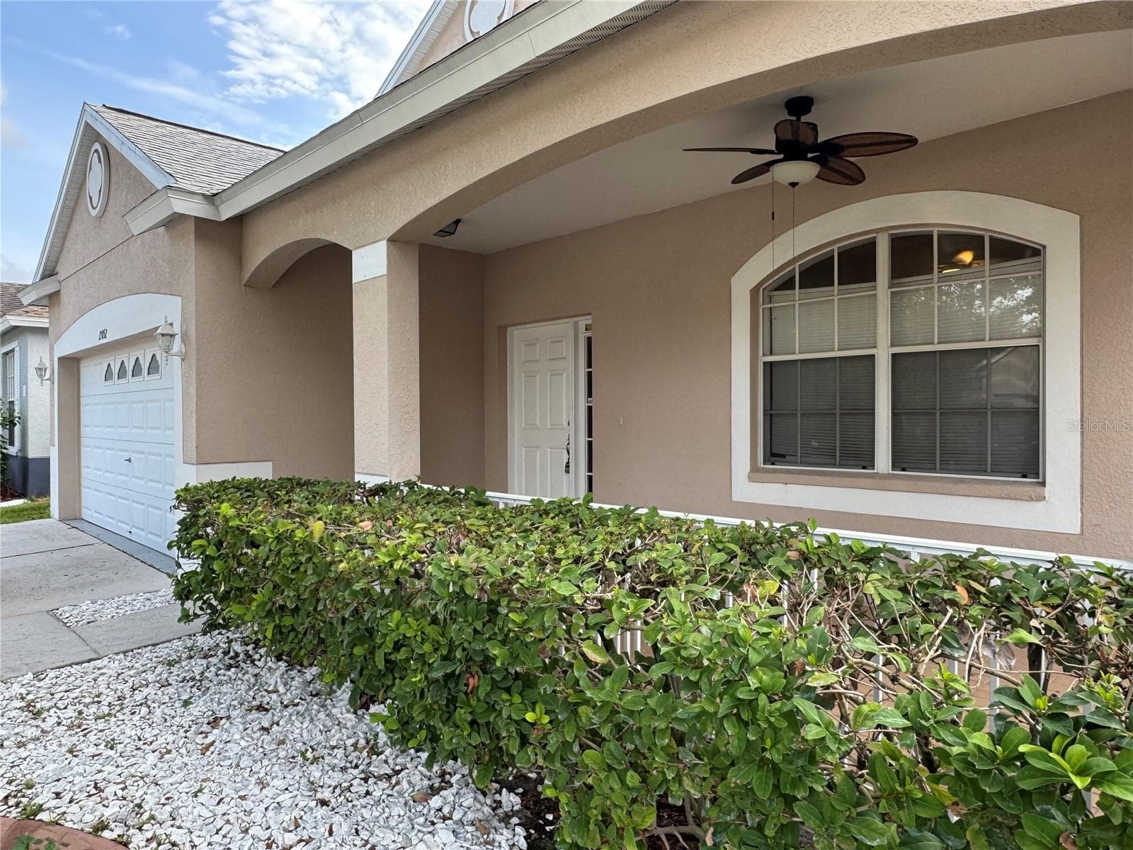 13052 Terrace Springs Dr photo 5