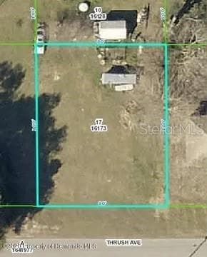 27283 Thrush Ave photo 4