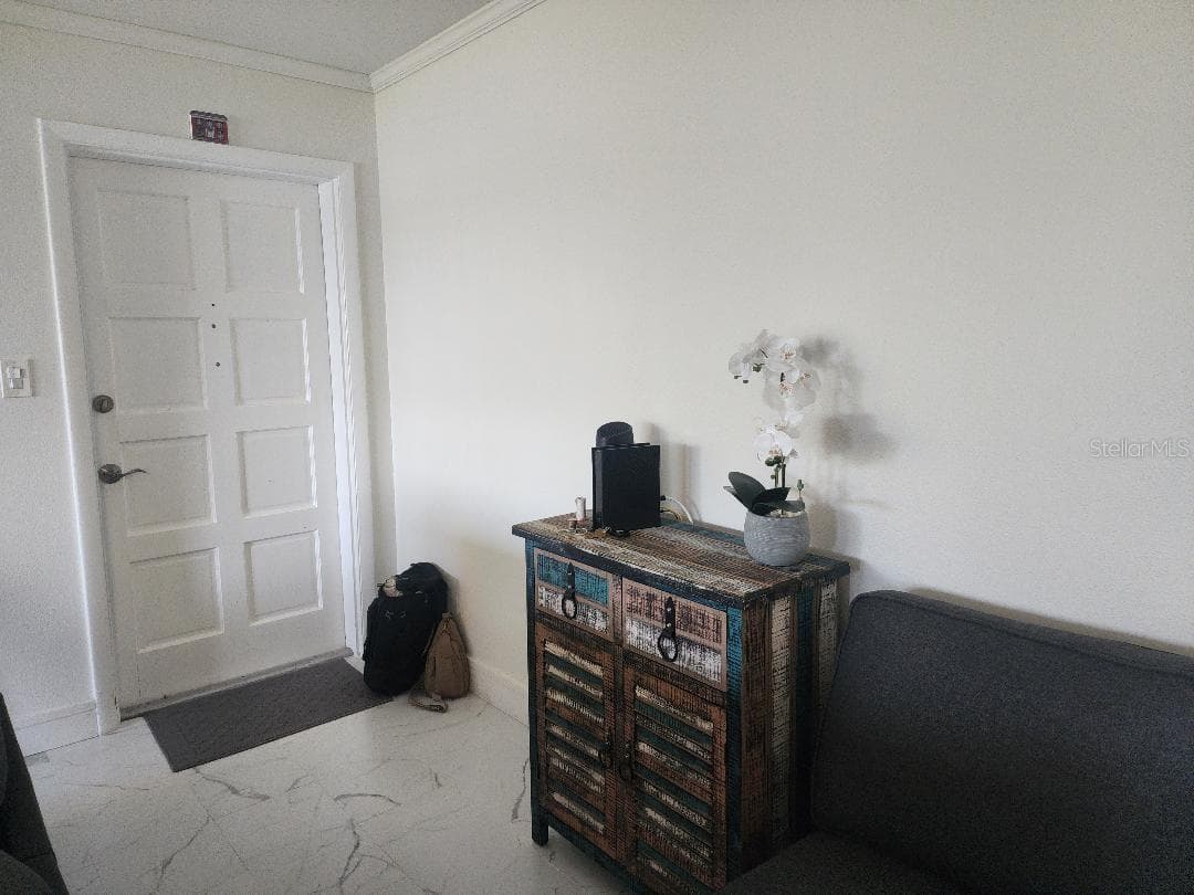 1003 S Bayshore Blvd #202 photo 3