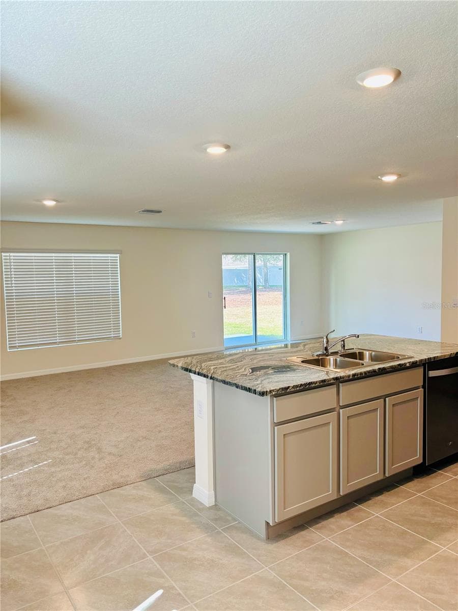 13649 Whiskey Daisy Dr photo 4