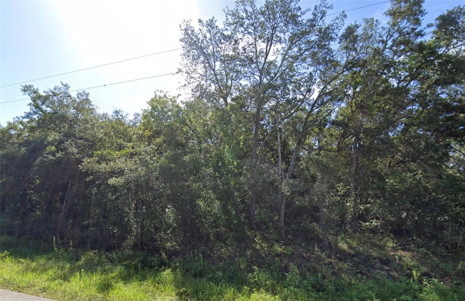 0 Akins Dr photo 5