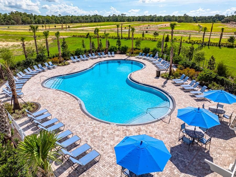 13626 Tropical Breeze Way photo 4