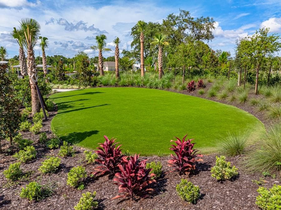 13626 Tropical Breeze Way photo 5
