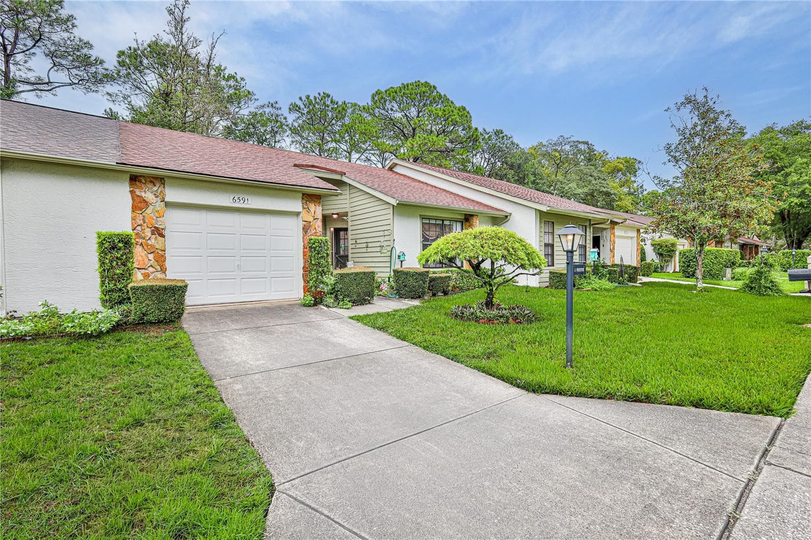 6591 Brambleleaf Dr photo 3