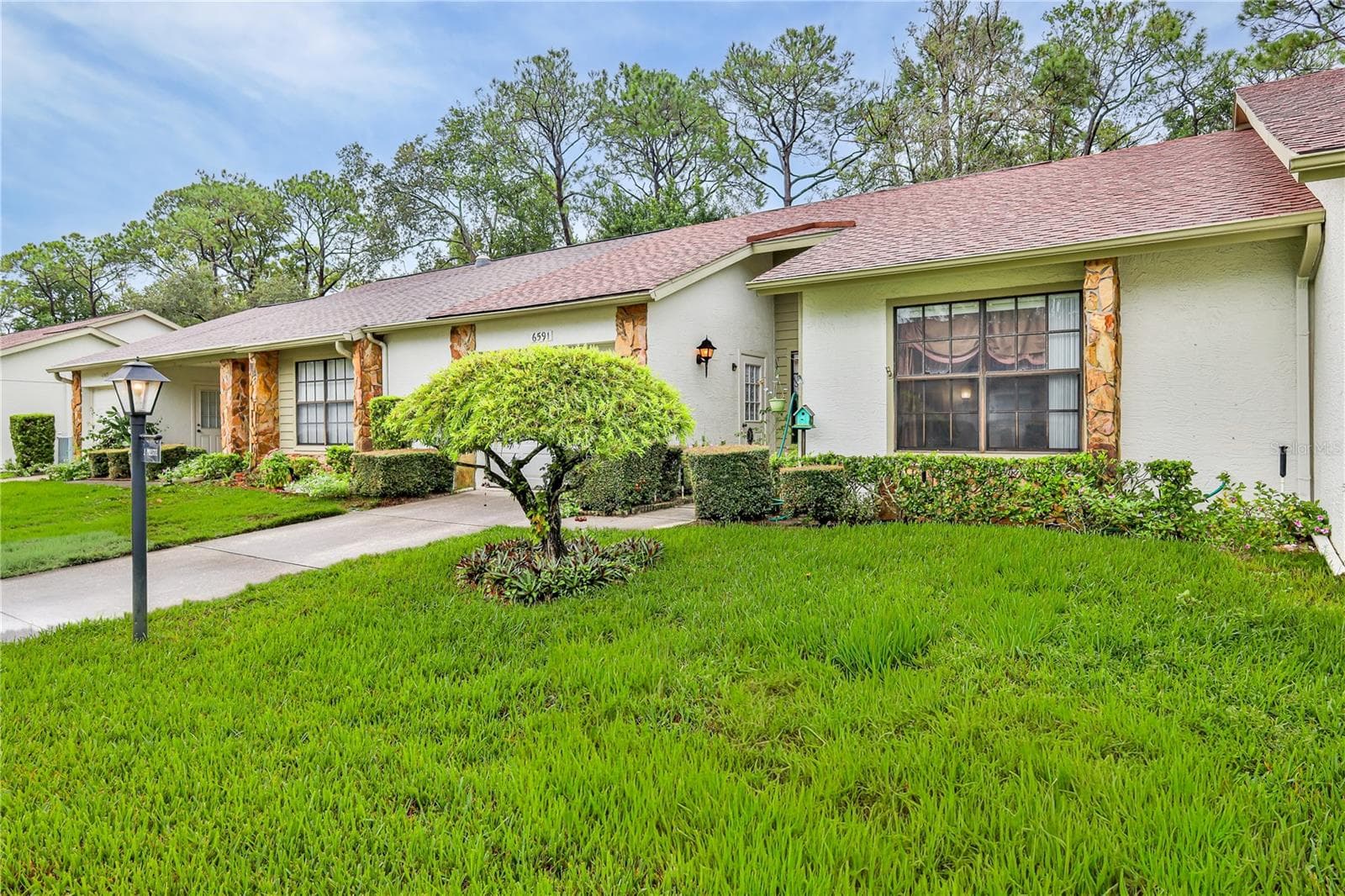 6591 Brambleleaf Dr photo 4