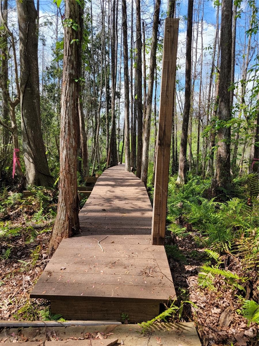 Tbd Bell Lake Rd photo 3