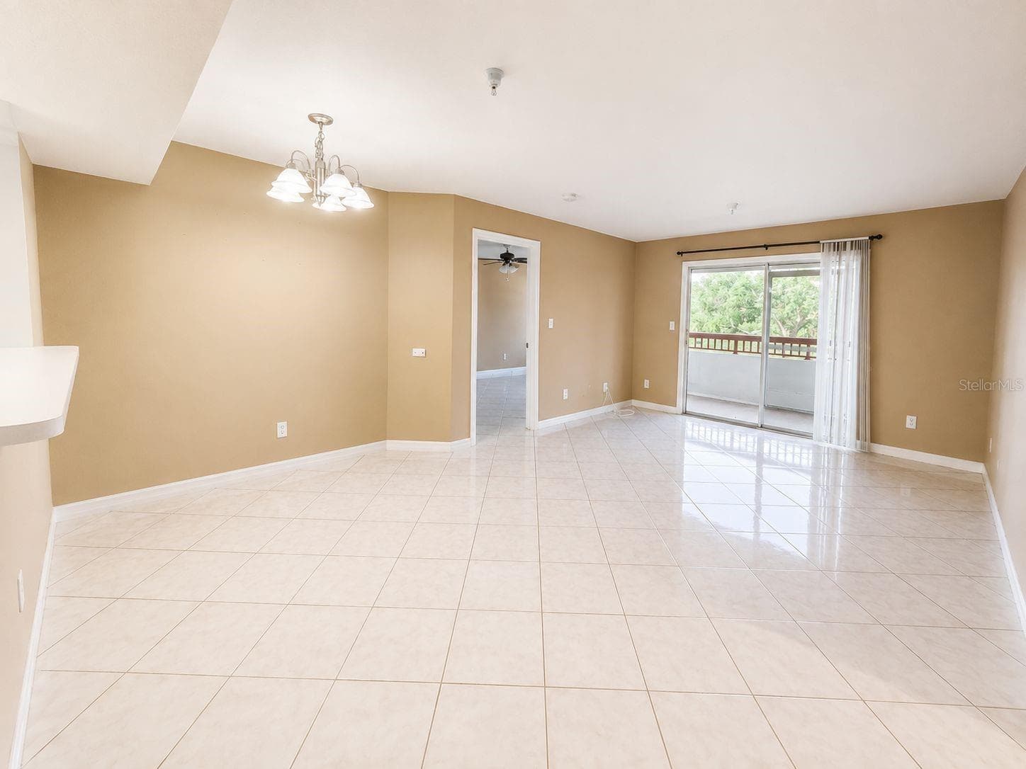 2323 Feather Sound Dr #205 photo 4