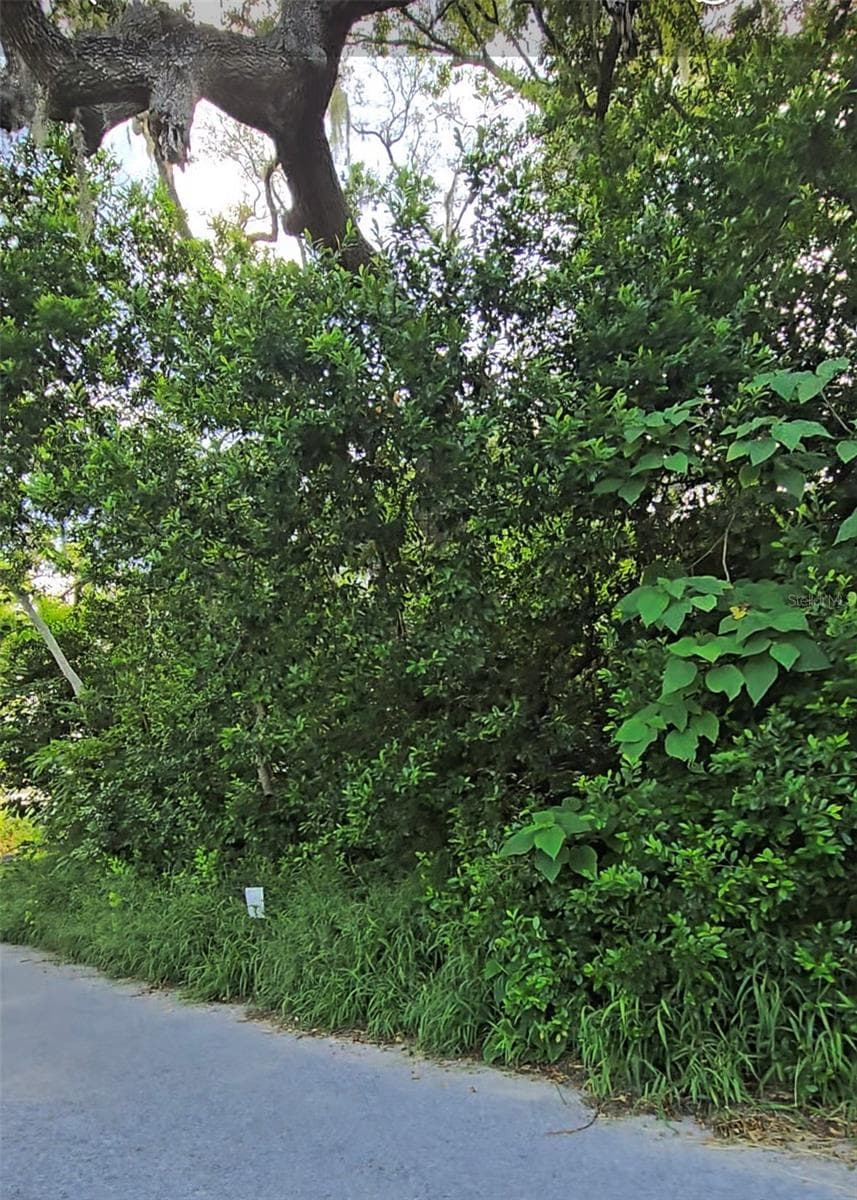 Lenox Drive photo 3
