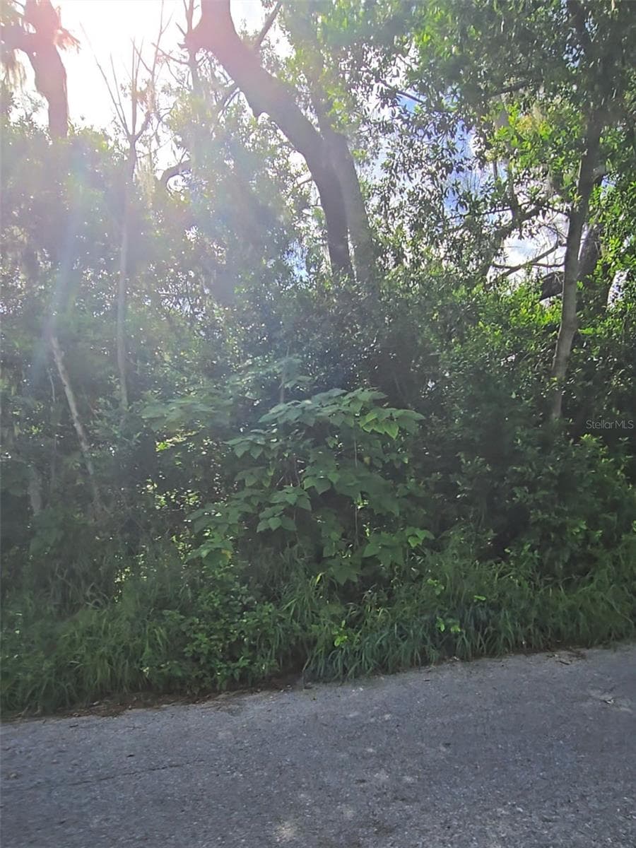 Lenox Drive photo 4