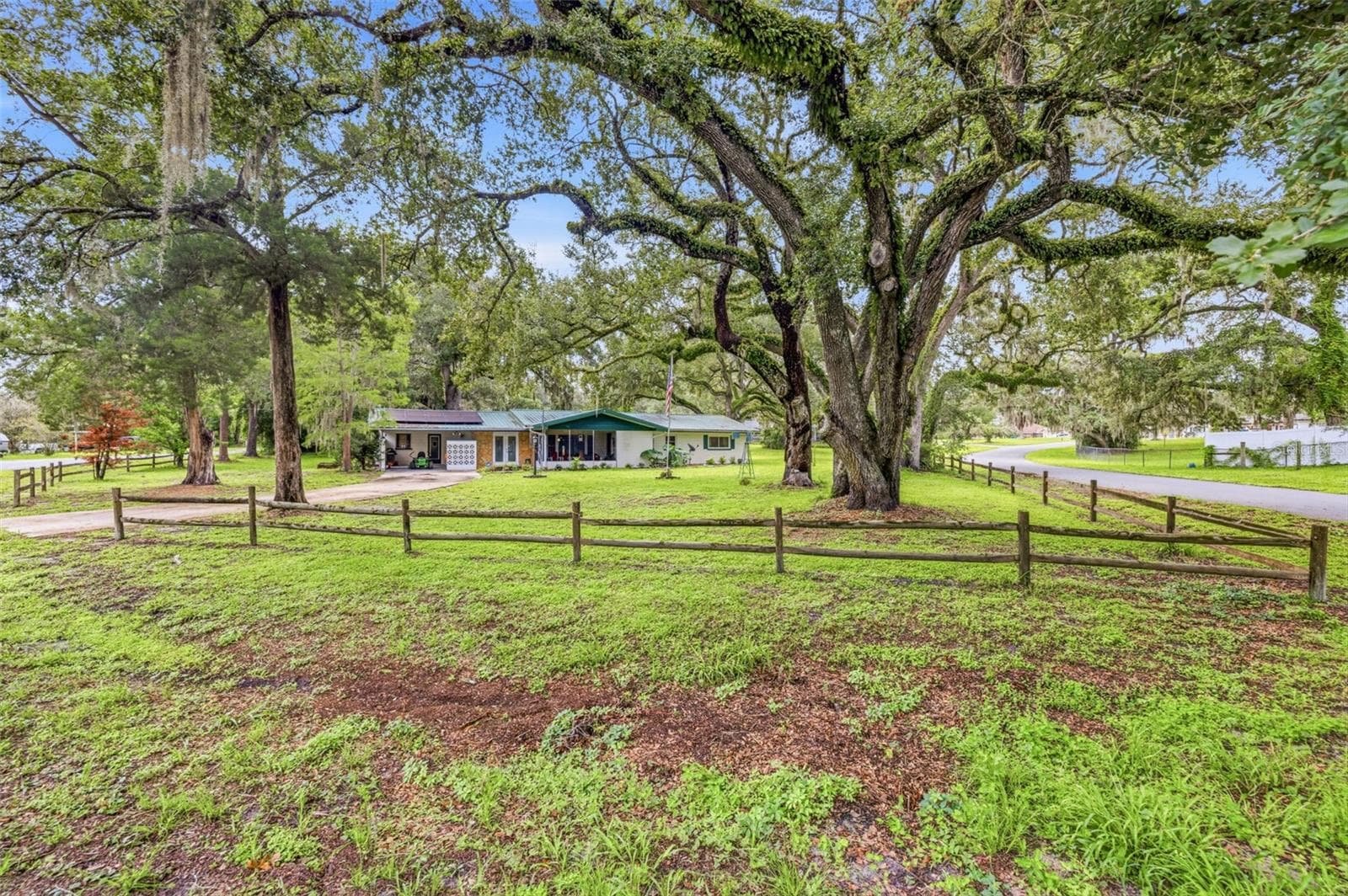 34746 Gardenia Way photo 3