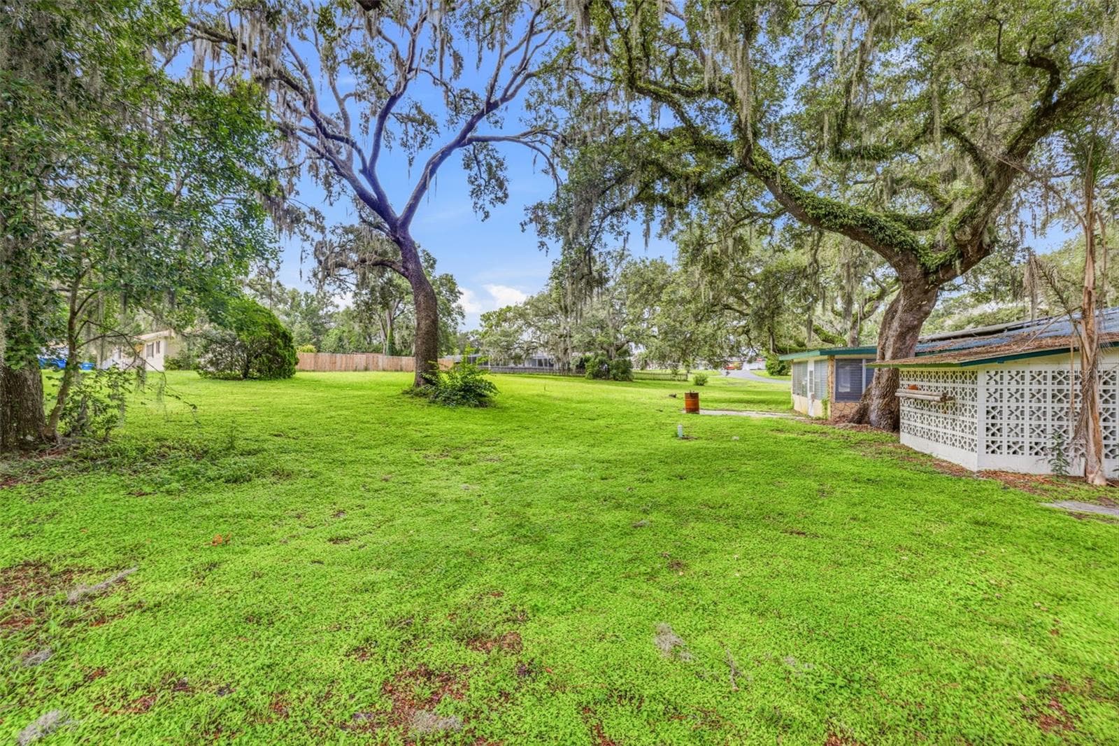 34746 Gardenia Way photo 5