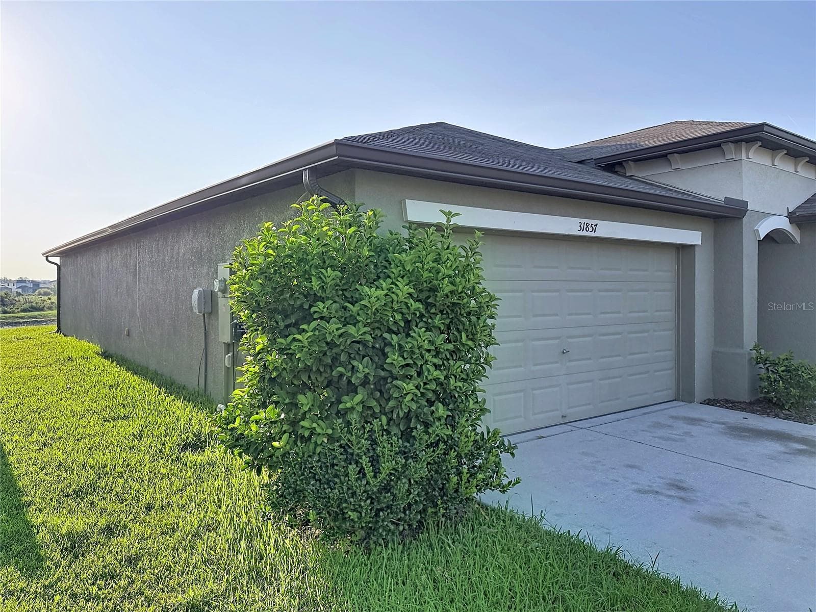 31857 Sun Kettle Loop photo 4