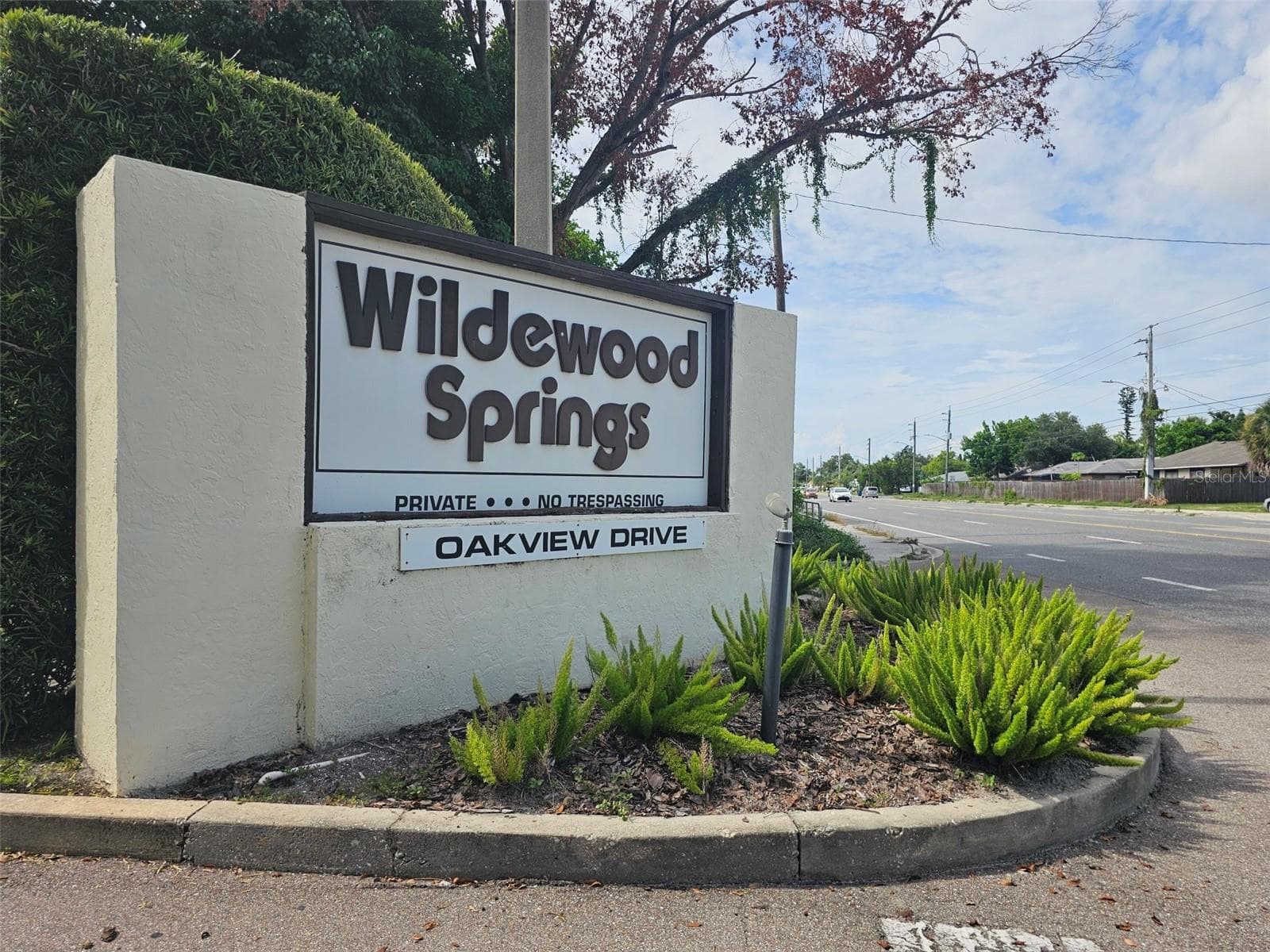 153 Wild Palm Dr #1610