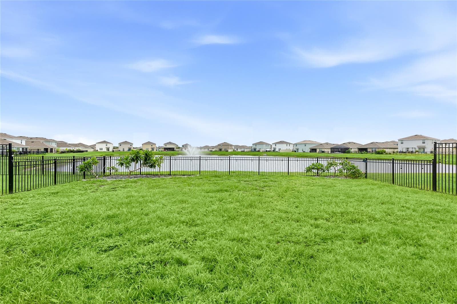 10116 Charlotte Dr photo 3