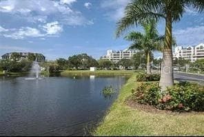 2333 Feather Sound Dr #A208 photo 4