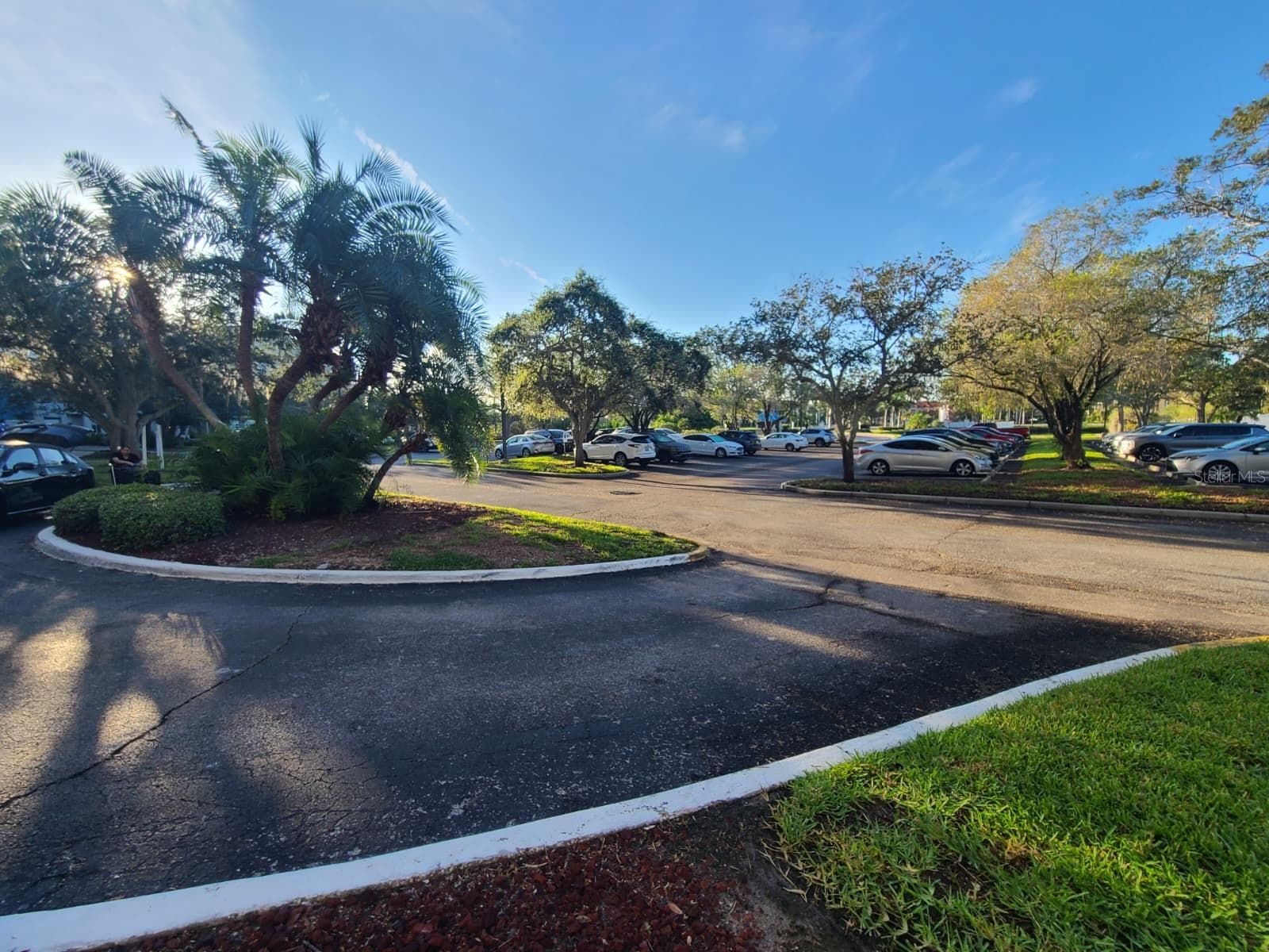 2333 Feather Sound Dr #A208 photo 5